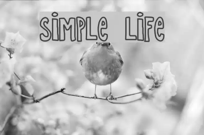 SIMPLE LIFE Font examples