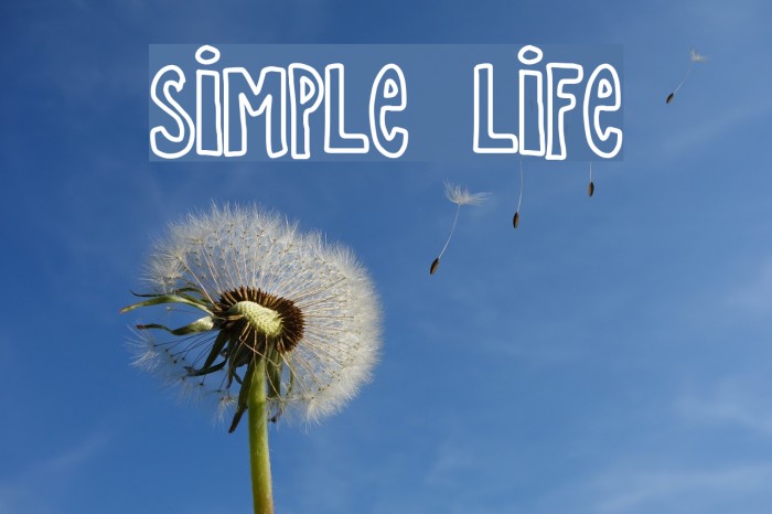 Simple life