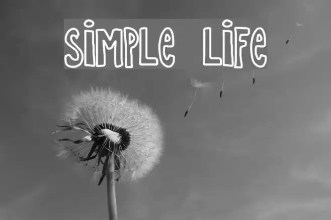 SIMPLE LIFE Font examples