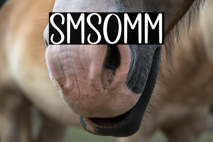 SIMPLE SOMETIME Example 2