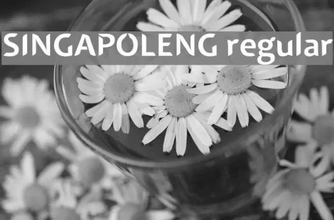 SINGAPOLENG regular Font examples