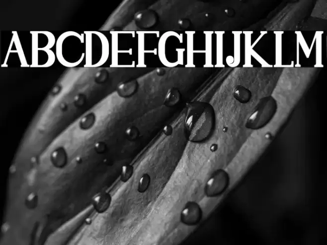 SINGGELPARENTBOLD-Regular Font examples