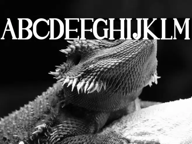 SINGGELPARENTBOLD-Regular Font examples