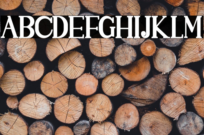 SINGGELPARENTBOLD-Regular Example 3