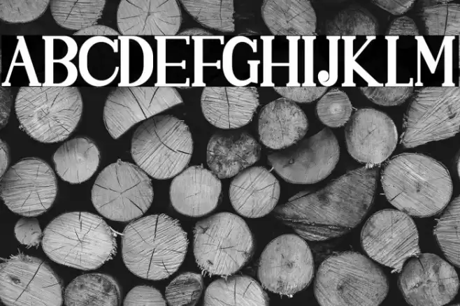 SINGGELPARENTBOLD-Regular Font examples