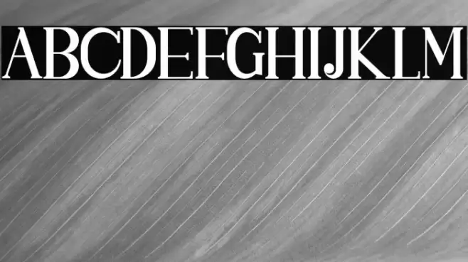 SINGGELPARENTSERIF-Regular Font examples