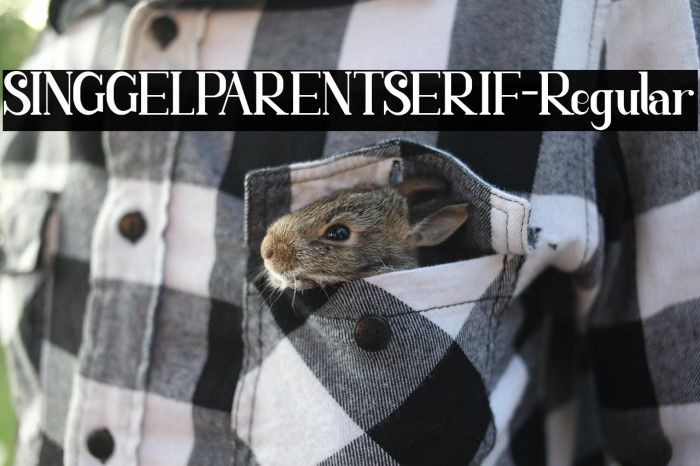 SINGGELPARENTSERIF-Regular Example 1