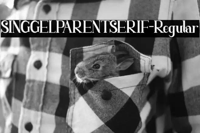 SINGGELPARENTSERIF-Regular Font examples
