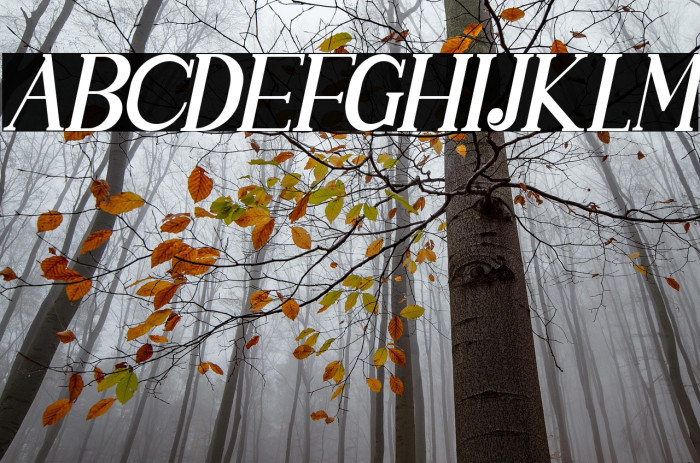 SINGGELPARENTTYPEFACE-Regular Example 2