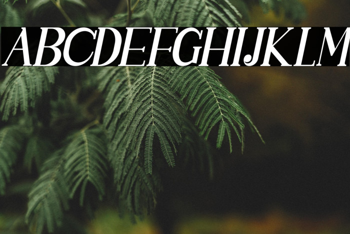 SINGGELPARENTTYPEFACE-Regular Example 1