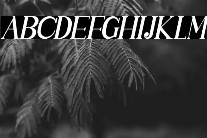 SINGGELPARENTTYPEFACE-Regular Font examples