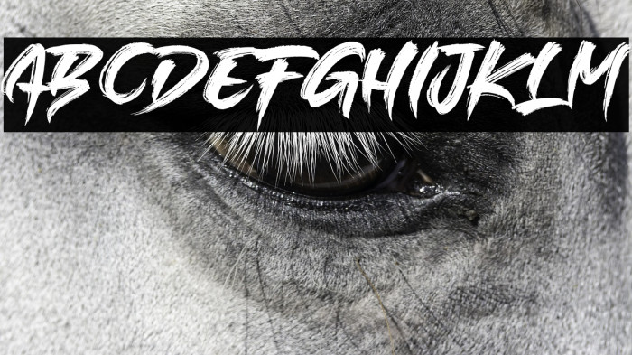 SINGLEFIGHTER Example 2