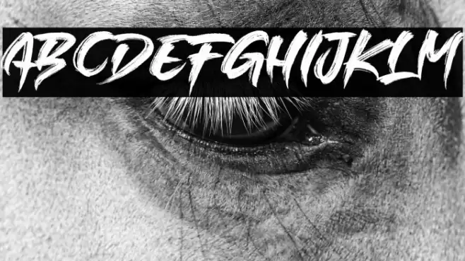 SINGLEFIGHTER Font examples