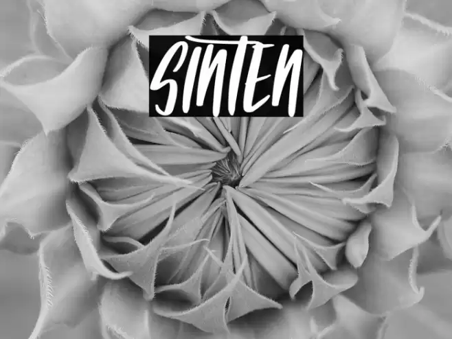 SINTEN Caratteri examples