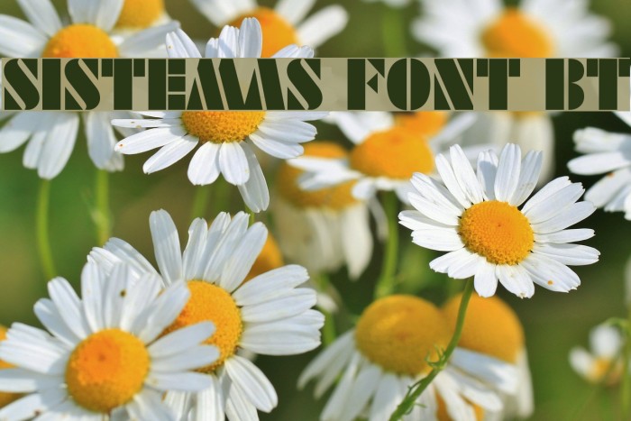 SISTEMAS FONT BT Font examples