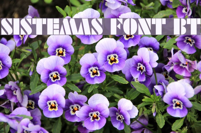SISTEMAS FONT BT Font examples