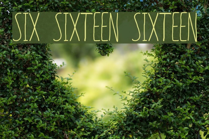 SIX SIXTEEN SIXTEEN Font examples