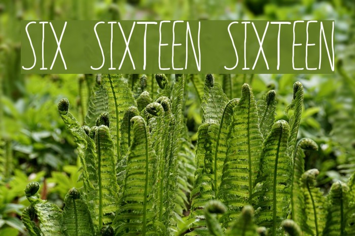SIX SIXTEEN SIXTEEN Font examples