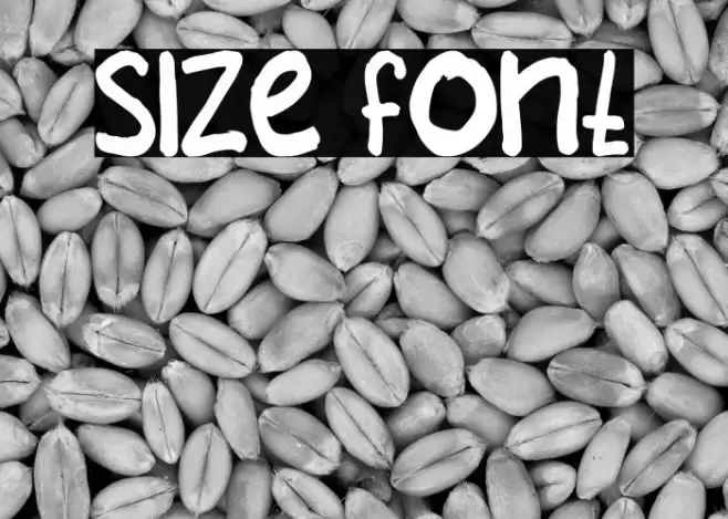 SIZE フォント examples