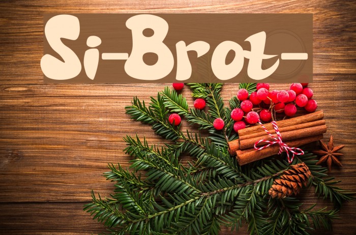 Si-Brot- Example 1