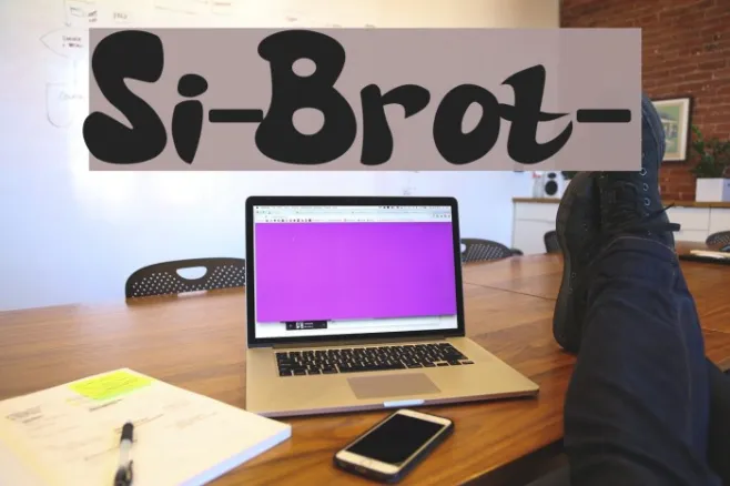 Si-Brot- Example 3