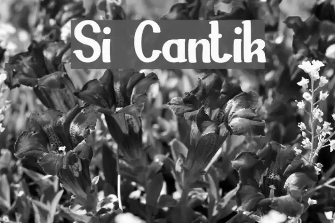 Si Cantik Font examples