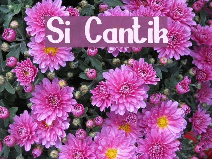 Si Cantik Font examples