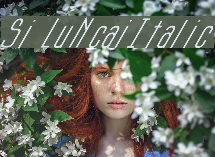 Si LuNcaiItalic Font examples