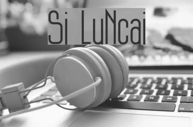 Si LuNcai Font examples