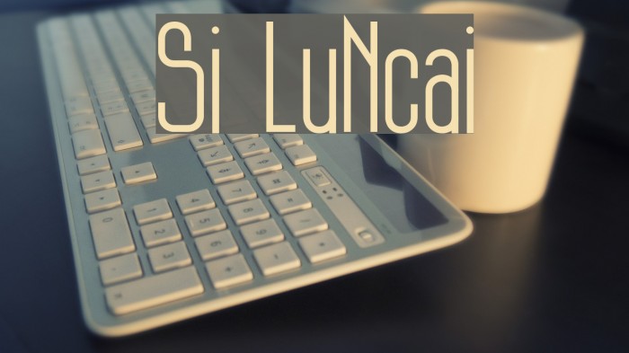 Si LuNcai Example 2