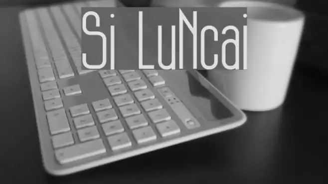 Si LuNcai Font examples
