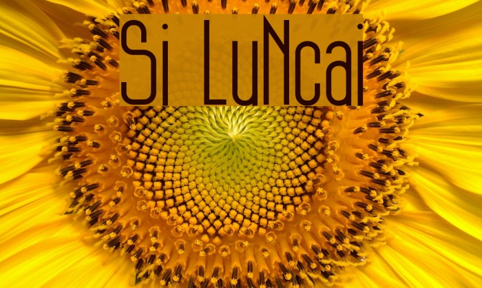 Si LuNcai Example 3