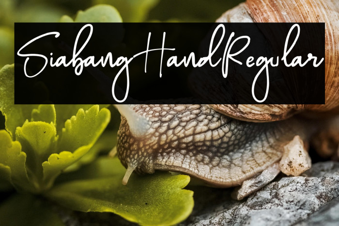 SiabangHandRegular Example 1