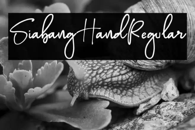 SiabangHandRegular Font examples