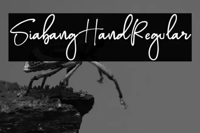 SiabangHandRegular Font examples