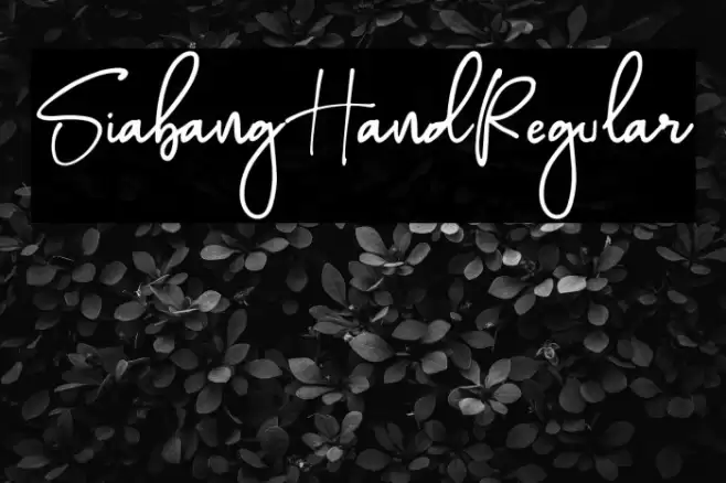 SiabangHandRegular Font examples