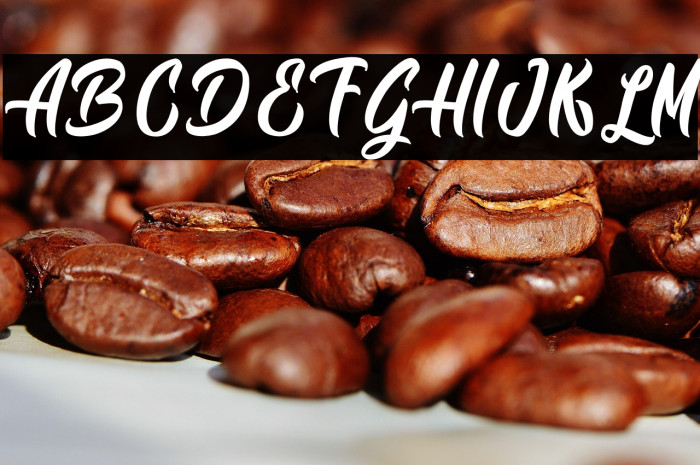 Siam Giants - Personal Use Example 2