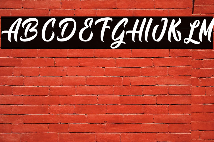 Siam Giants - Personal Use Example 3