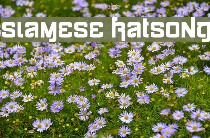 Siamese Katsong Font examples