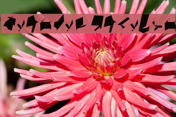 Siberia Oblique Example 2