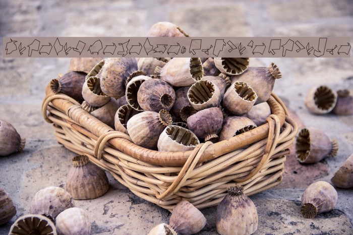 Siberia Reversed Outline Oblique Example 2