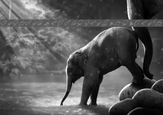 Siberia UltraOblique Outline Font examples