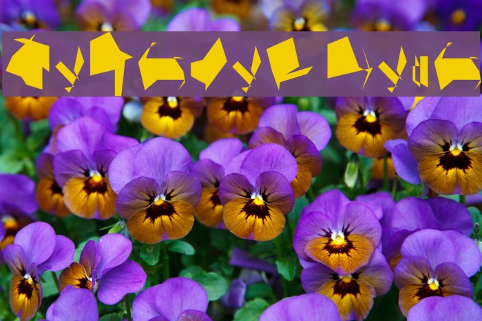 Siberia Wide Example 1