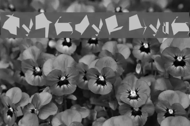 Siberia Wide Font examples