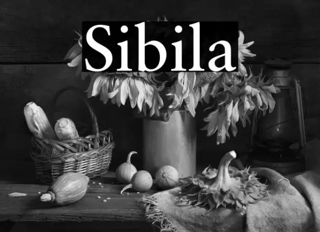 Sibila Font examples
