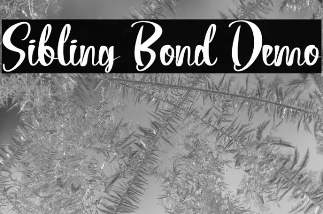 Sibling Bond Demo Font examples