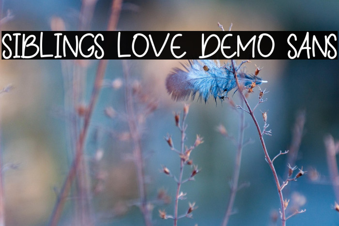 Siblings Love Demo Sans Example 2