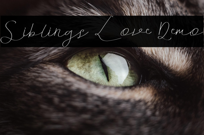 Siblings Love Demo Example 1