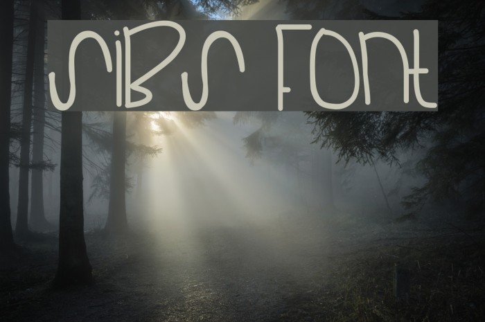 Sibs Font examples