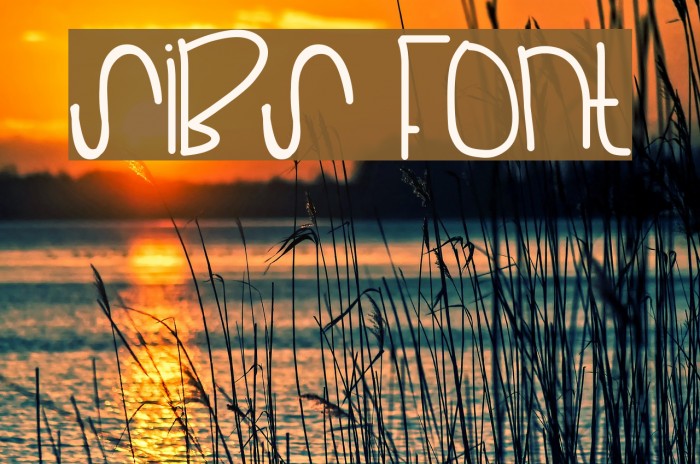 Sibs Font examples